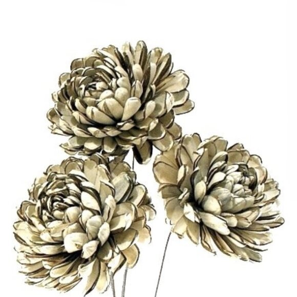 SHAVED WOOD SOLA CHRYSANTHEMUM - Picture 5 of 7
